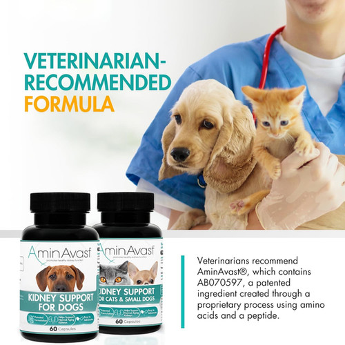 AminAvast Kidney Support for Cats & Dogs (Canada) | 10% off | Beam