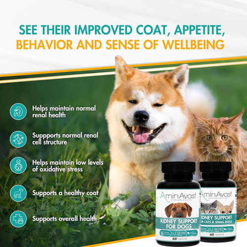 AminAvast Kidney Support for Cats & Dogs (Canada) | 10% off | Beam