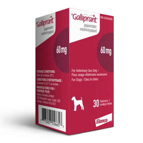Buy Galliprant® (grapiprant) for Dogs (Canada) Beam Pets Pharmacy