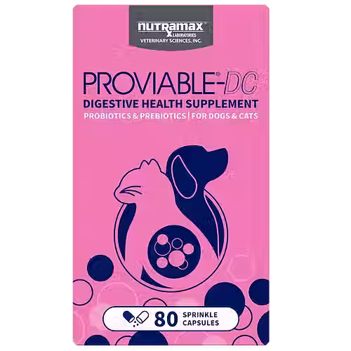 Nutramax Proviable-DC Probiotic