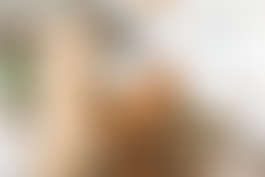 Tabby cat scratching a beige sisal post in a bright living room. Background shows blurred furniture and plants, creating a cozy feel.