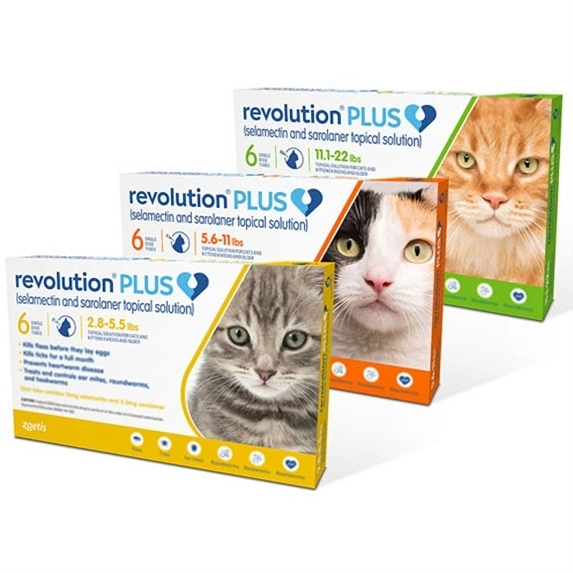 Revolution PLUS for Cat