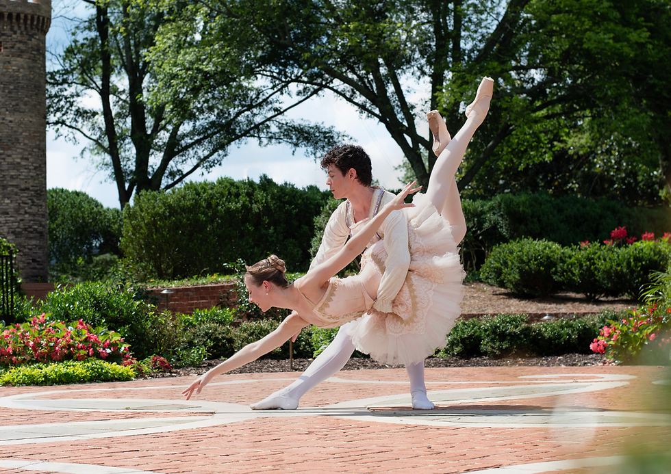Sensory Friendly - Sleeping Beauty