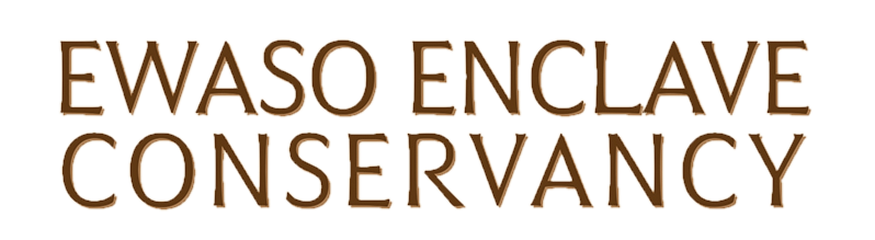 Ewaso_Enclave_Logo_WISE_LandscapeLrg_r2_edited.png