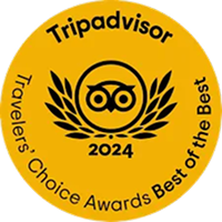 Award Icon-1.png
