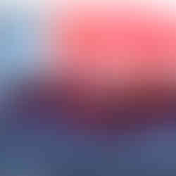 Benfica Academy Experience