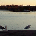 Sunset+at+the+Waterfront+(81).png