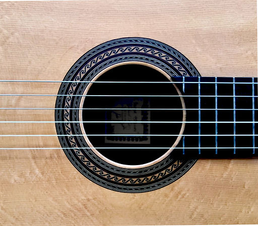 janasmusic.com