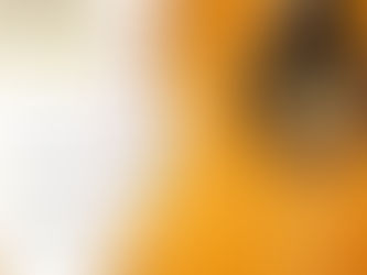 Looking for Grade 1 Exams: A Guide for Parents