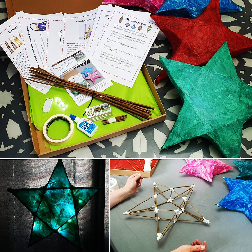 Willow Star Lantern Educational Sculpture Kit - Children, Adults, Family Activity.