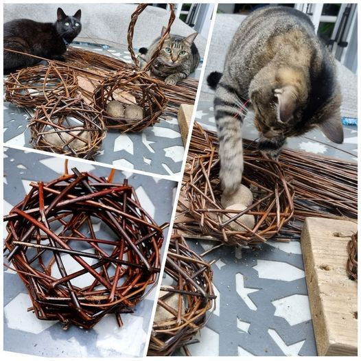 Thumbnail: Handmade Willow Birdfeeders  Using sustainably home grown Anglesey willow.