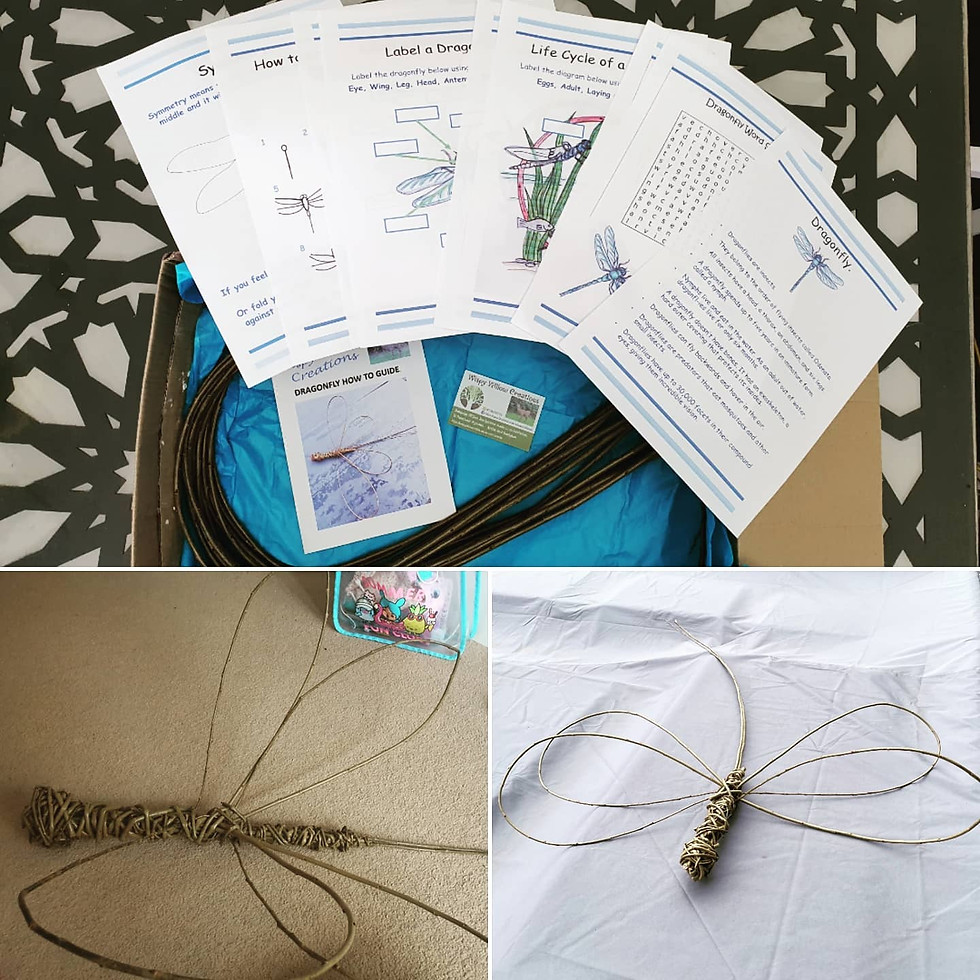 Thumbnail: Willow Dragonfly Educational Sculpture Kit - Children, Adults, Family Activity.