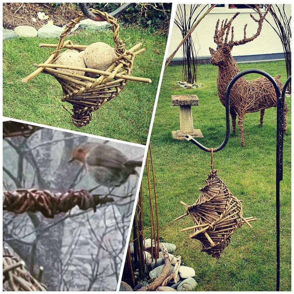 Thumbnail: Eco friendly Birdfeeder Sculpture Kit educational pack
