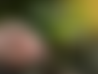 Planting Seeds of Faith: What’s in Your Garden?