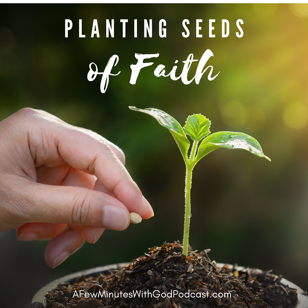 Planting Seeds of Faith: What’s in Your Garden?