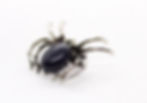 Thumbnail: Crystal Spider Brooch