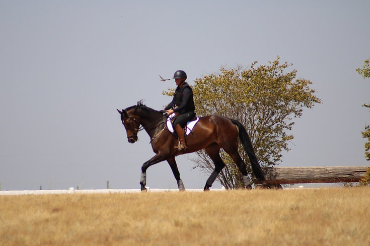 Tenny Megan Sykes and Classics Eventing.