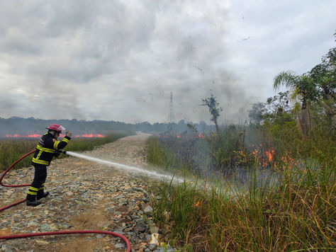 Fogo em vegetação às margens da BR-280 mobiliza equipes de socorro
