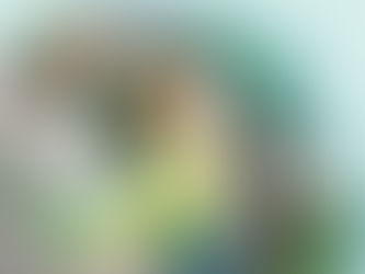 Procon de Joinville divulga pesquisa de preços de material escolar