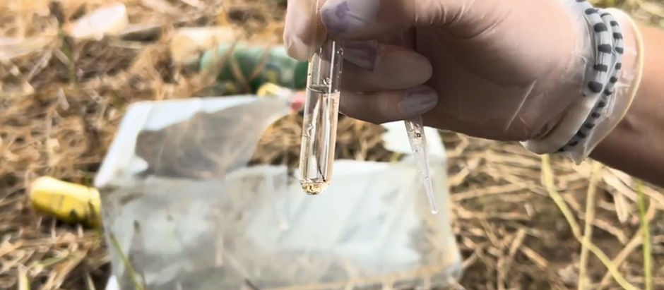 Após surto em 2024, Araquari reduz casos de dengue e chega a 2026 sem registros da doença