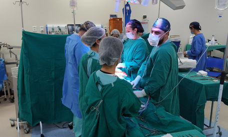 Ações do Hospital Municipal São José no Setembro Verde sensibilizam sobre a doação de órgãos