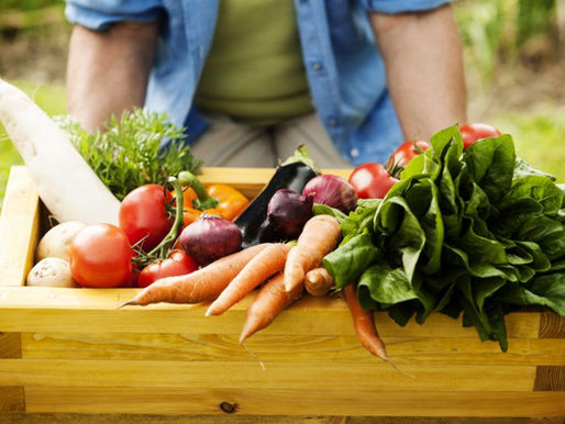 Produtores rurais recebem orientação sobre como fornecer alimentos ao PAA nesta quinta-feira em Joinville