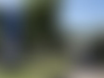 Museu Arqueológico de Sambaqui de Joinville recebe prêmio nacional do Iphan