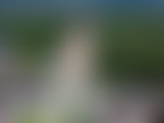 Obra da Ponte Joinville avança e vigas de concreto com 40 metros começam a ser removidas do canteiro de fabricação