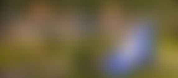 Joinville terá alterações em serviços públicos durante feriado de Sexta-feira Santa