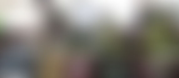 Feira Direto do Campo realiza edição especial de outono neste fim de semana