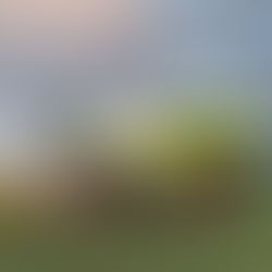 Vilicus Farms Team and Their New To Them Combine