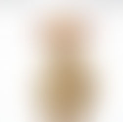 A Tunis ewe of Conner Prairie