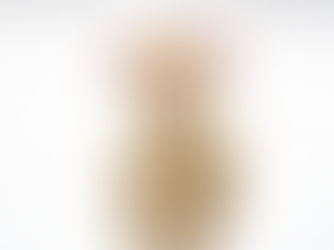 A Tunis ewe of Conner Prairie