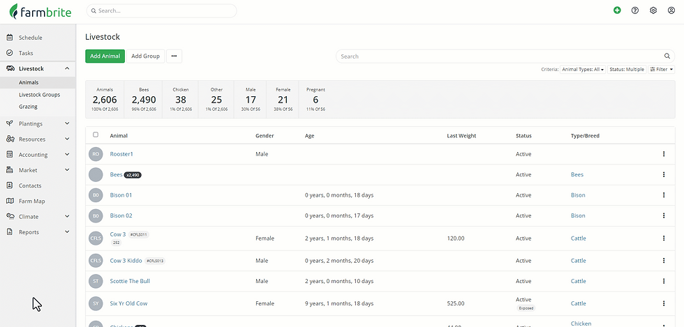 Farmbrite's Livestock Dashboard provides an at-a-glance summary of your livestock, including number of animals, categories, gender, pregnancy status, and much more. It is your gateway to all your livestock information.