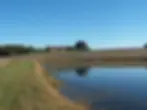Farm - Stoney Battery Road.jpeg