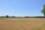 Hunter's Paradise 230 Acre.jpeg