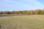 QA County Farmland 27 Acres.jpeg
