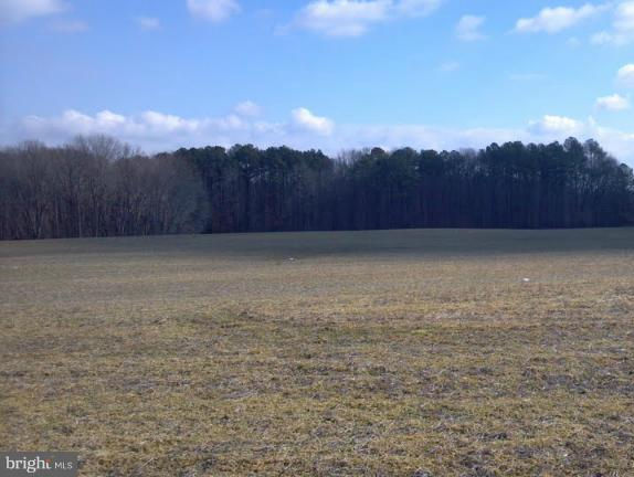 Burrisville Rd_edited.jpg