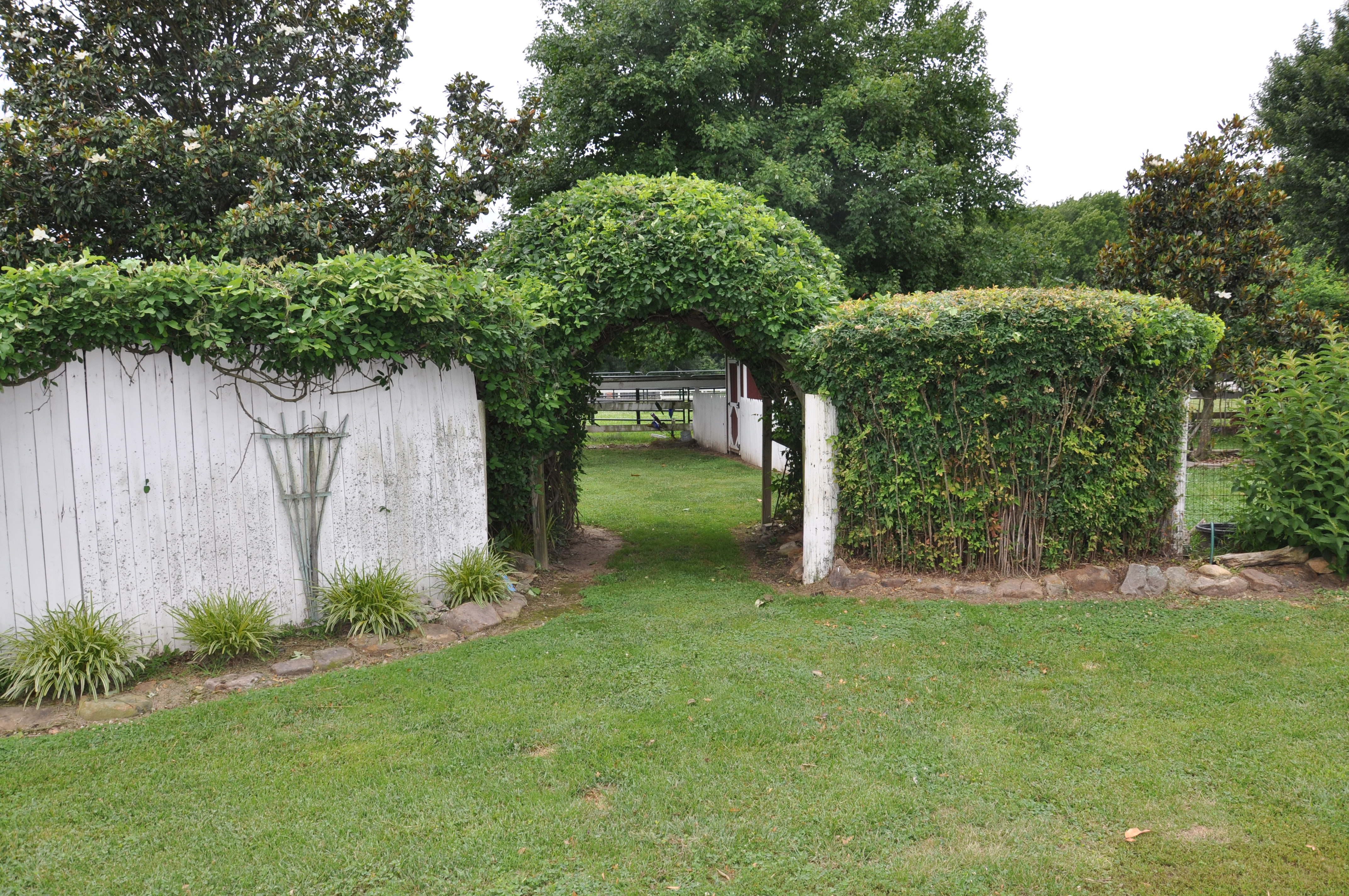 Backyard billys chester md