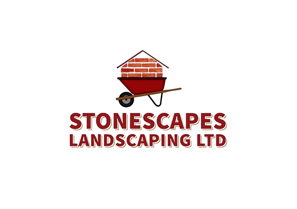 Copy of White and Black Simple Soccer Logo _edited.png