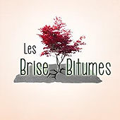 lesbrisebitume.081257.081330 (1).jpg