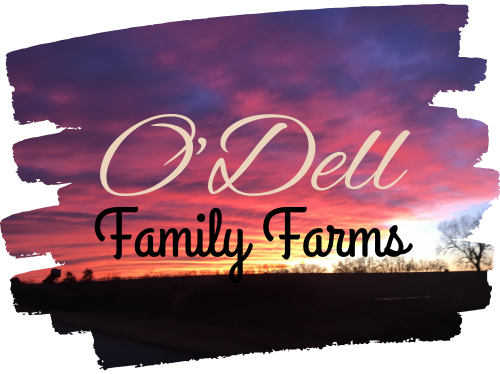O’Dell Family Farms Logo