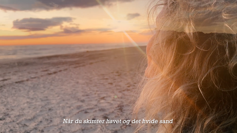 Skærmbillede 2022-03-16 01.07.16.png