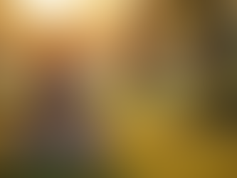 Top Tips for Improving Mental Health and Wellness