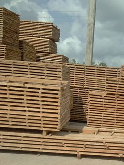 IMG-20221130-WA0001_edited