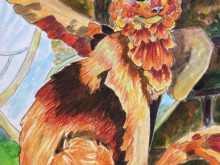 Playing with photoshop