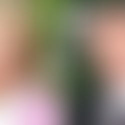 Amazon Studios lança Reese Witherspoon e Will Ferrell em comédia sobre casamento de Nick Stoller