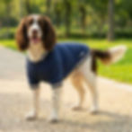 Vegan Dog's Varsity Jacket in navy blue from Vegan Happy Clothing with subtle vegan logo