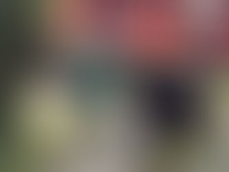 The Rescue Diaries - Alfonzo's Story