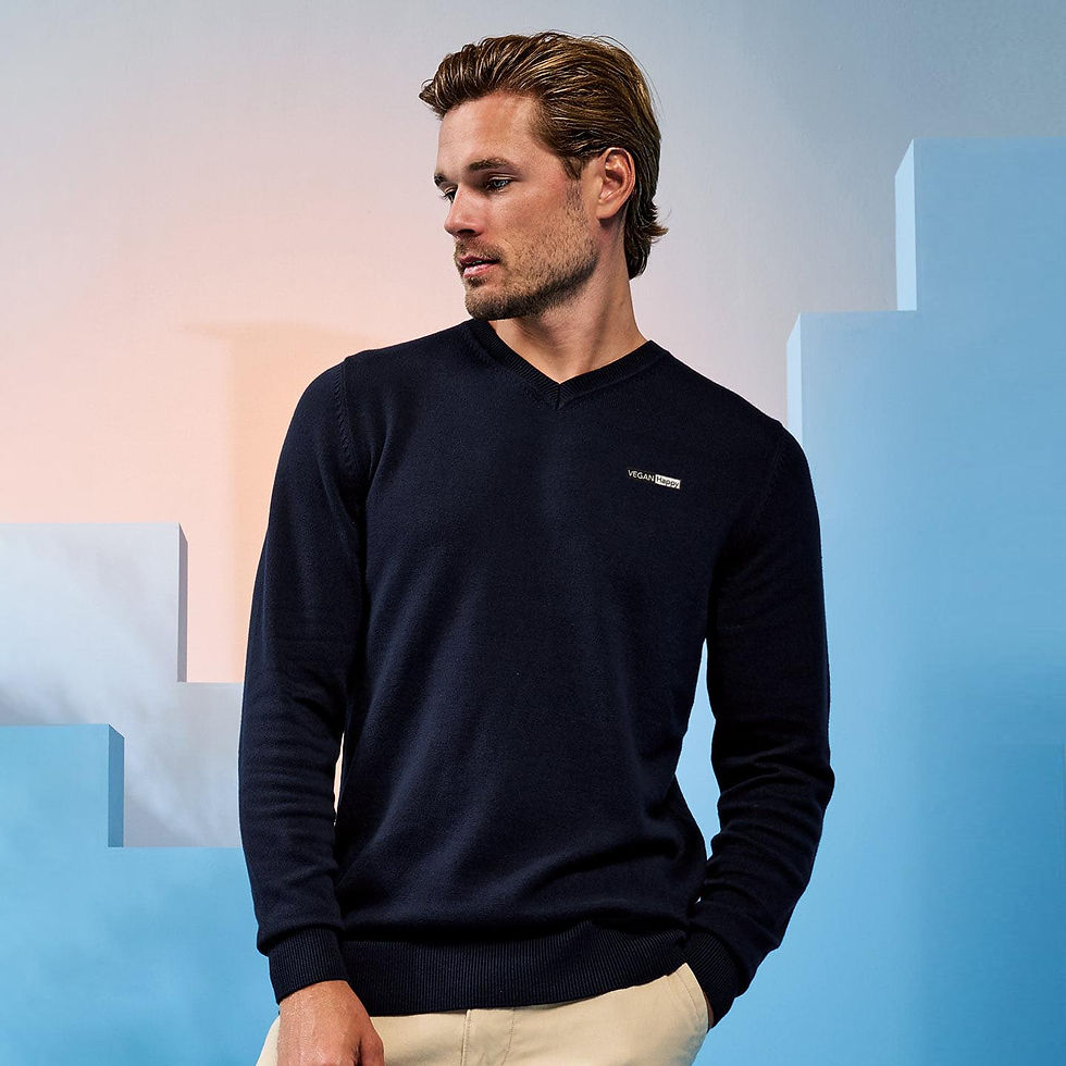 Vegan Cotton Blend Men's V-Neck Sweater in navy with subtle vegan logo to the front from Vegan Happy Clothing